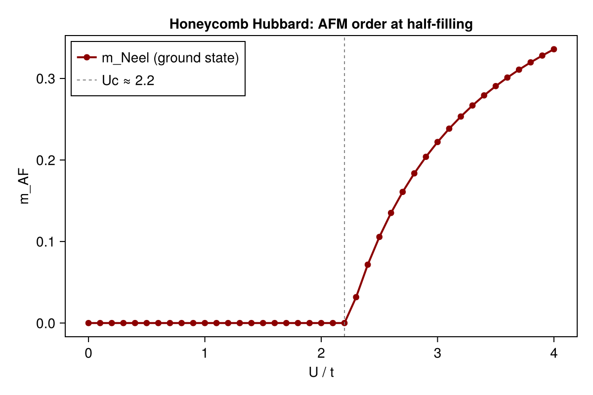 AFM order parameter